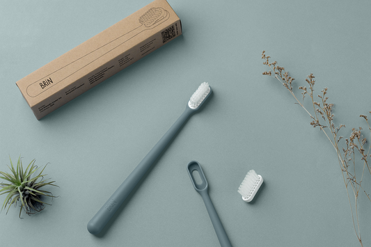Best Sustainable Toothbrush: Why The Miswak Stick is the Top Choice