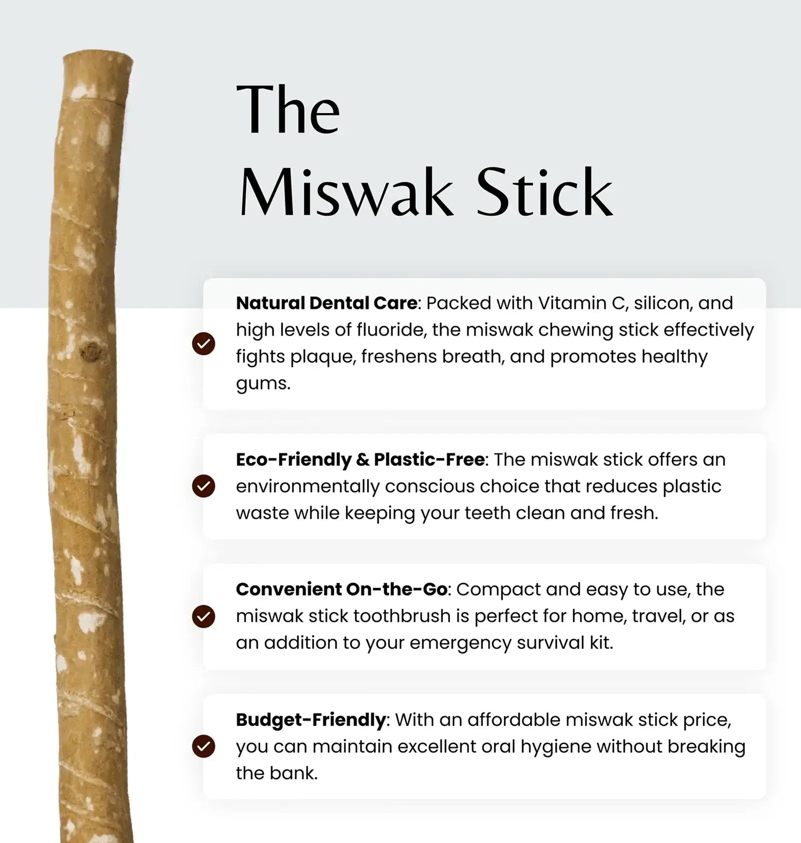 The Miswak Stick Benefits