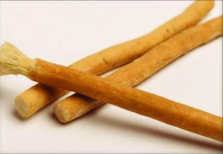 Miswak chewing stick