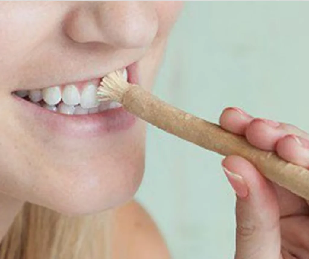 what is a miswak stick