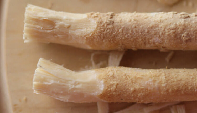 benefits of miswak stick